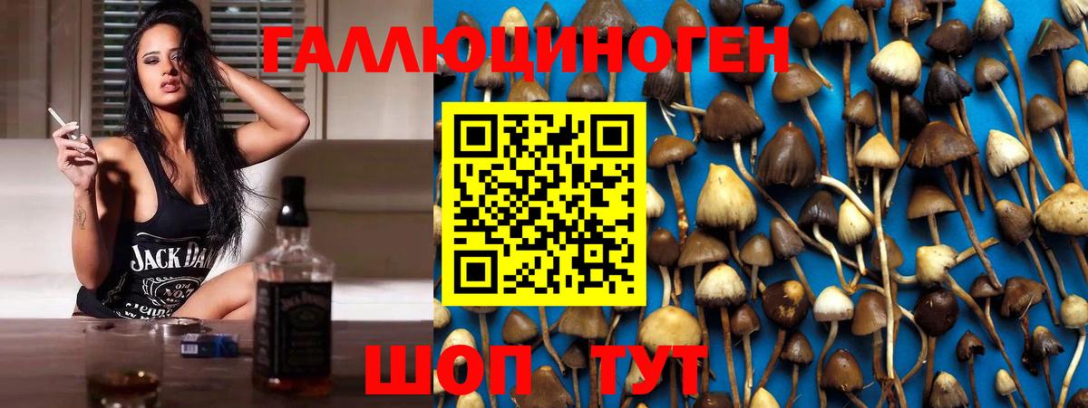 Елец  Галлюциногенные грибы MAGIC MUSHROOMS  как найти   Вход с VPN  Псилоцибиновые грибы мицелий 