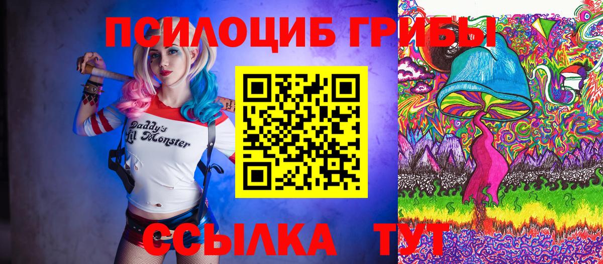 Псилоцибиновые грибы Magic Shrooms Елец