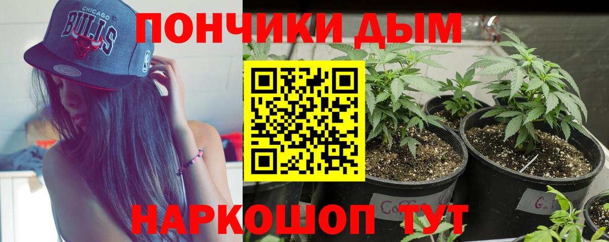 Каннабис SATIVA & INDICA  Конопля индика  Конопля индика  Вход с VPN  Елец 